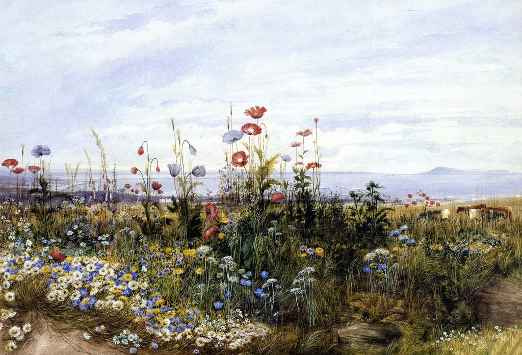 Framed 1 Panel - Wildflowers with a View of Dublin by Andrew Nicholl