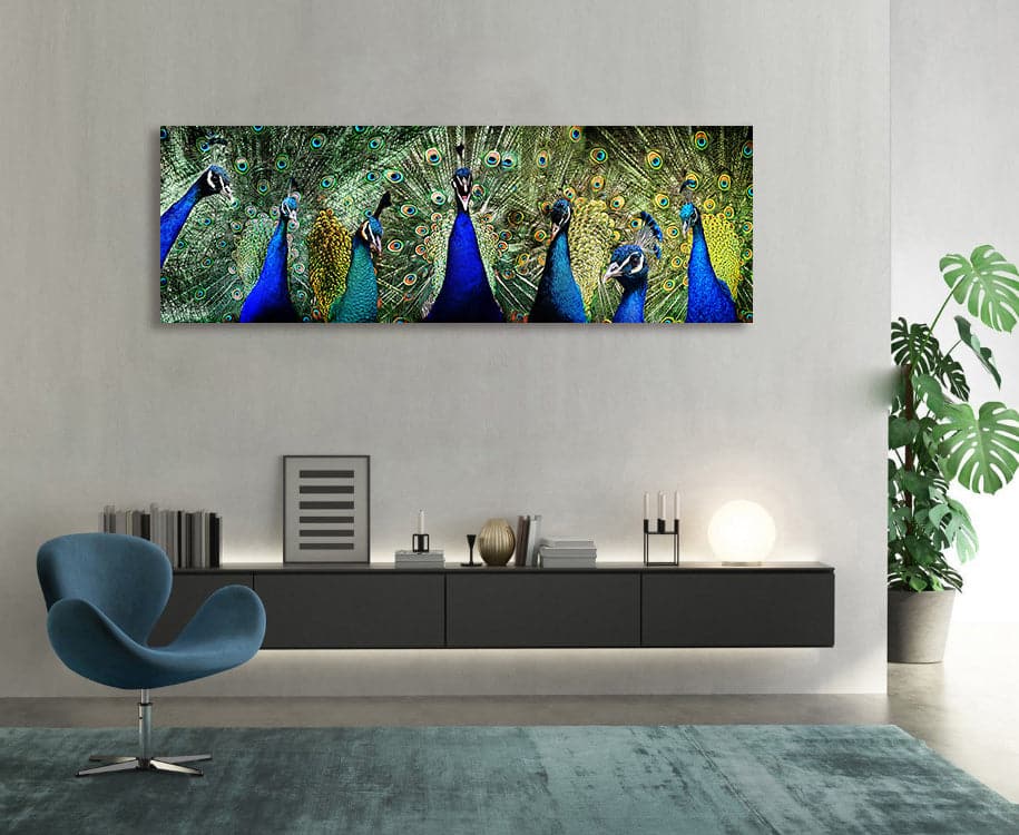 Framed 1 Panel Peacocks Love Print & Free shipping NZ