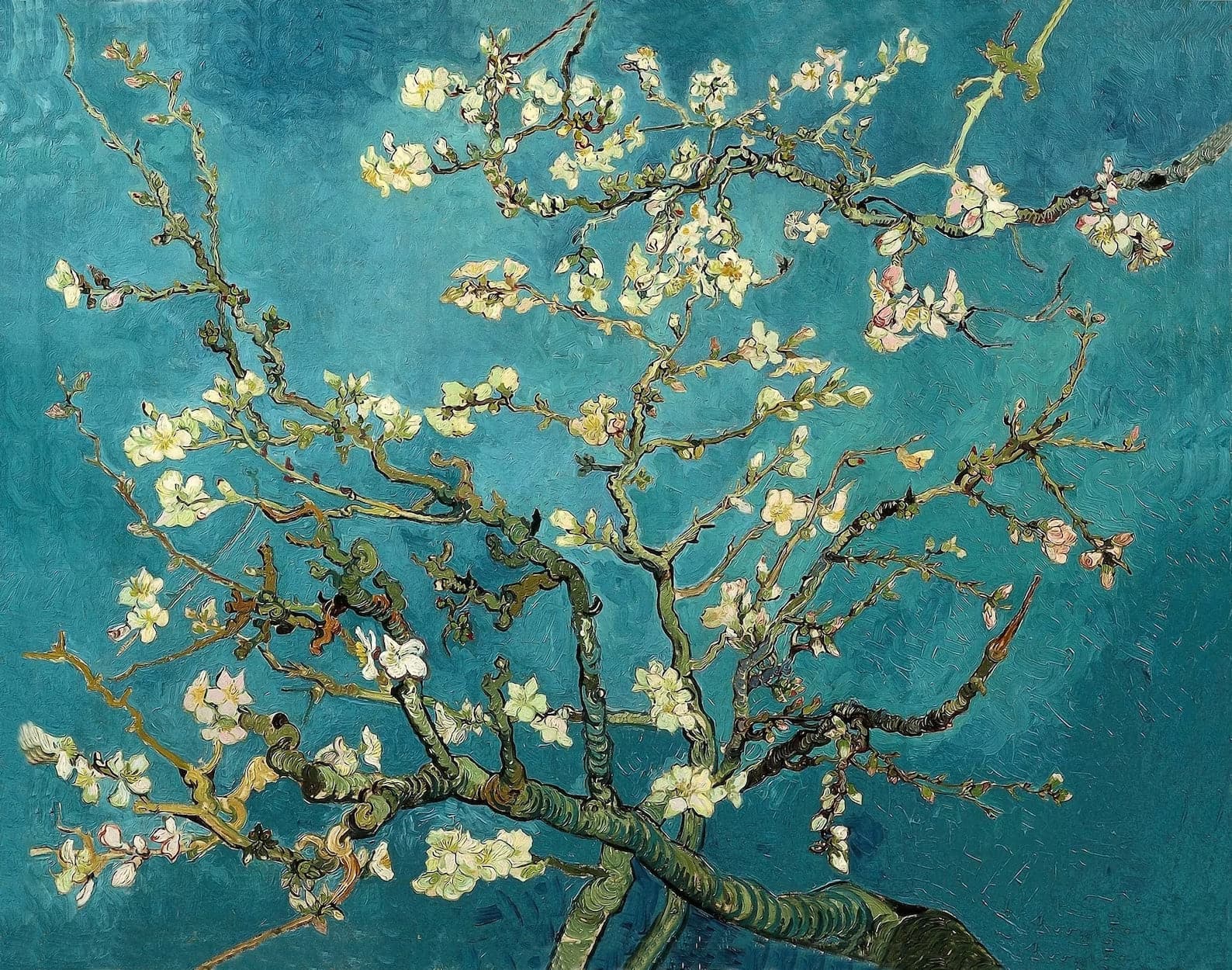 Framed 1 Panel - Almond-Blossoms by Van Gogh
