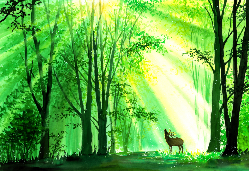 Framed 1 Panel - Watercolor - Deer in forests