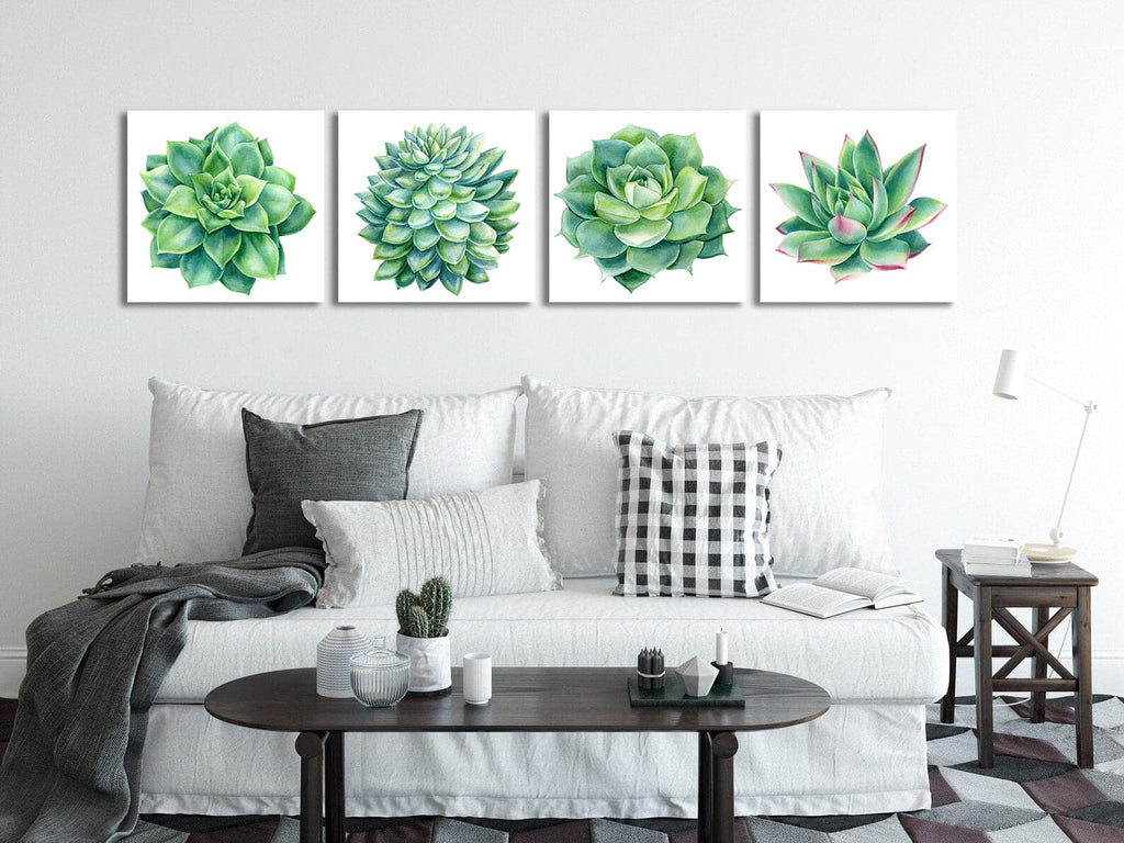 Framed 4 Panels - Succulents