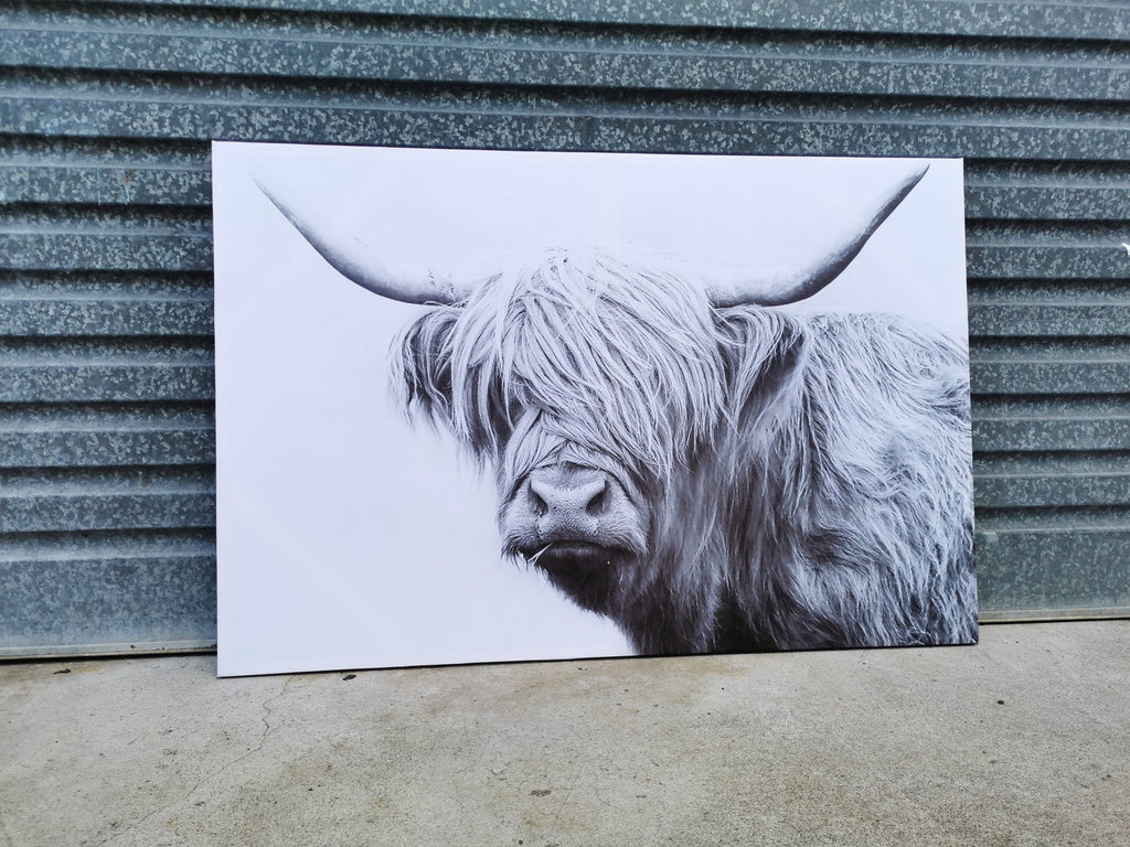 Framed 1 Panel - Finished Products - Highlander Cow