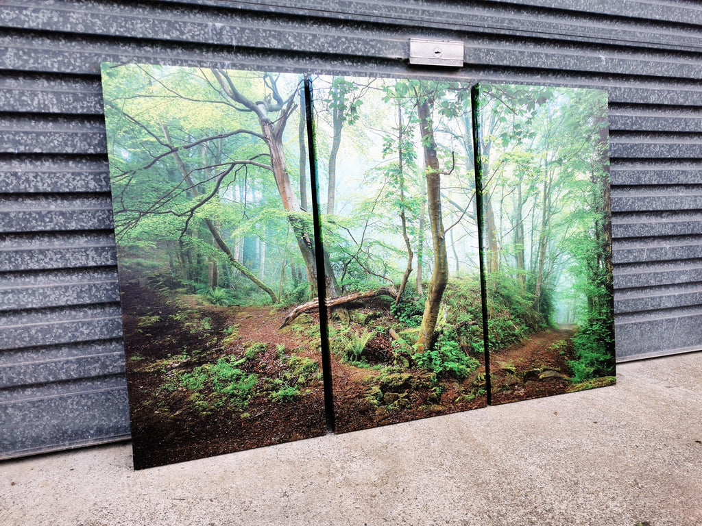 Framed 3 Panels - Finished Products -Forest