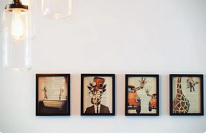 Top Wall Art Trends in New Zealand Homes for 2025