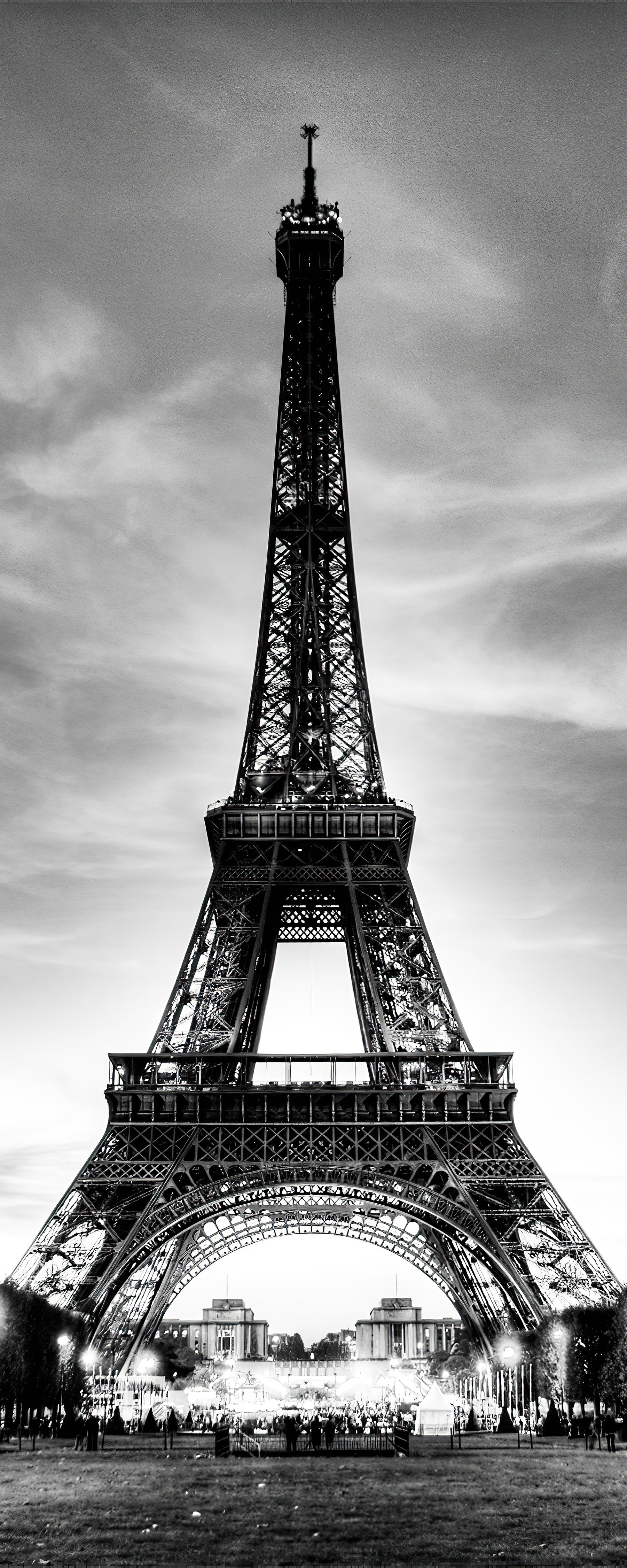 Pine Stretched  Framed 1 Panel - Eiffel Tower
