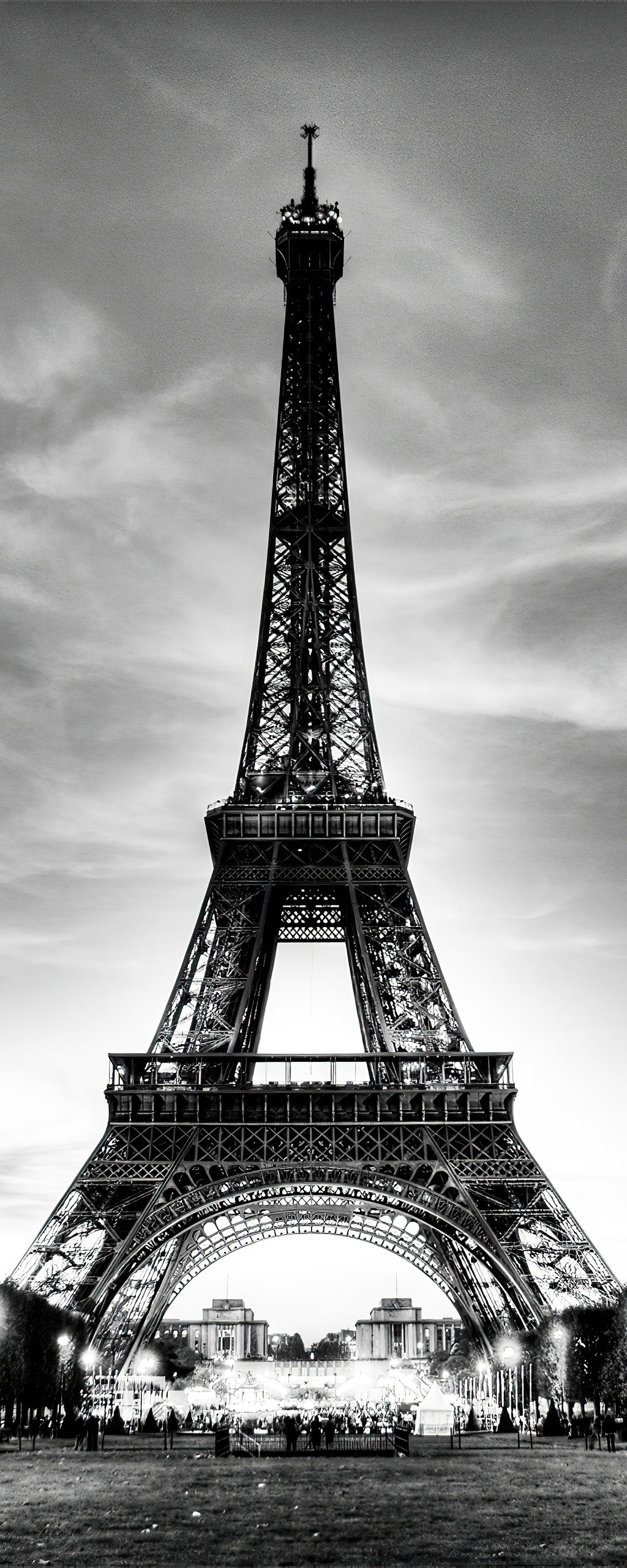 Pine Stretched  Framed 1 Panel - Eiffel Tower