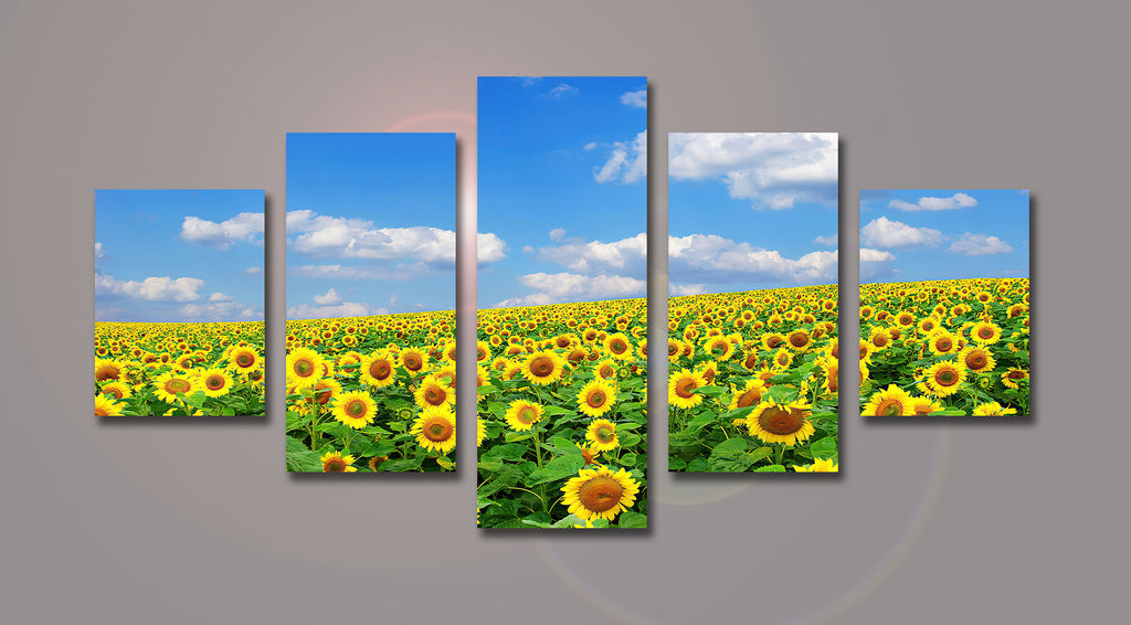 Pine Stretched  Framed 5 Panels - Sunflower