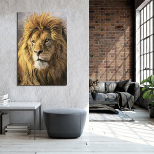 Framed 1 Panel - Lion Art