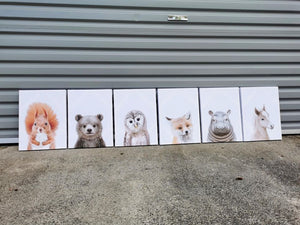 Pine Stretched  Framed 6 Panels - Finished Products - Set of Cute Animals