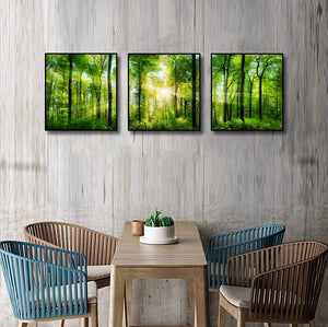 Modern Botanical Canvas Wall Art Print Poster | Home Decor | Stretched 3 Panels - Forest panorama with rays of sunlight
