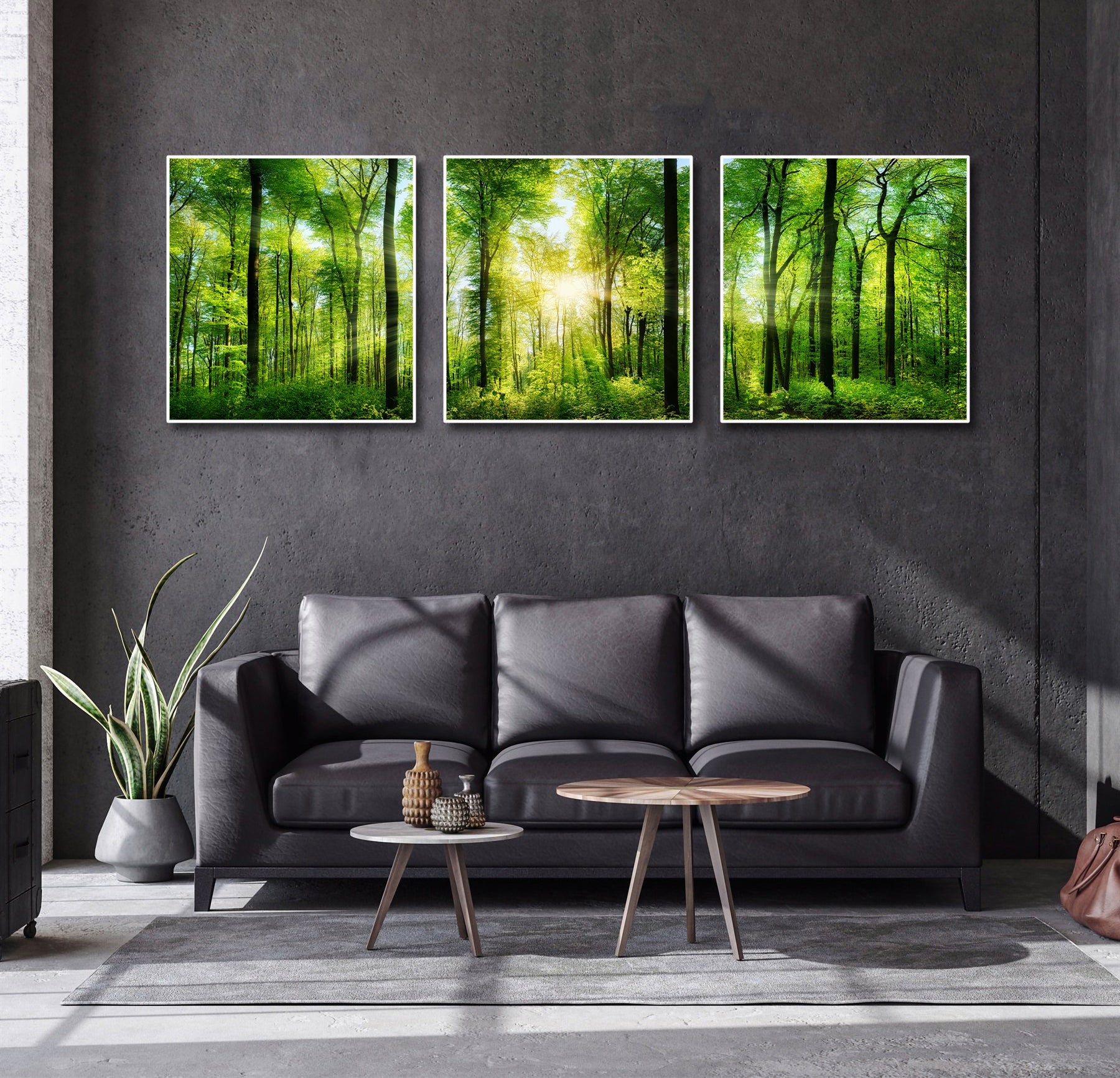 Modern Botanical Canvas Wall Art Print Poster | Home Decor | Stretched 3 Panels - Forest panorama with rays of sunlight