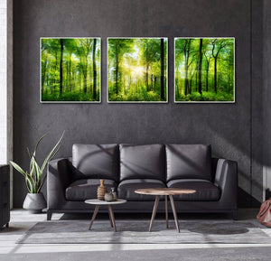 Modern Botanical Canvas Wall Art Print Poster | Home Decor | Stretched 3 Panels - Forest panorama with rays of sunlight
