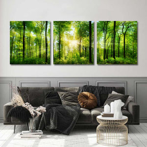 Modern Botanical Canvas Wall Art Print Poster | Home Decor | Stretched 3 Panels - Forest panorama with rays of sunlight