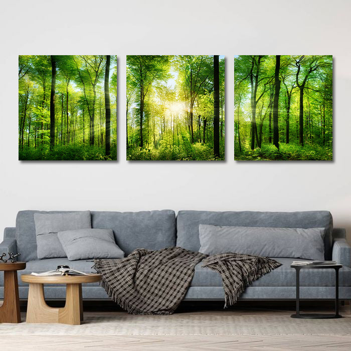 Modern Botanical Canvas Wall Art Print Poster | Home Decor | Stretched 3 Panels - Forest panorama with rays of sunlight