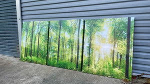 Pine Stretched  Framed 3 Panels - Finished Products - Forest panorama with rays of sunlight