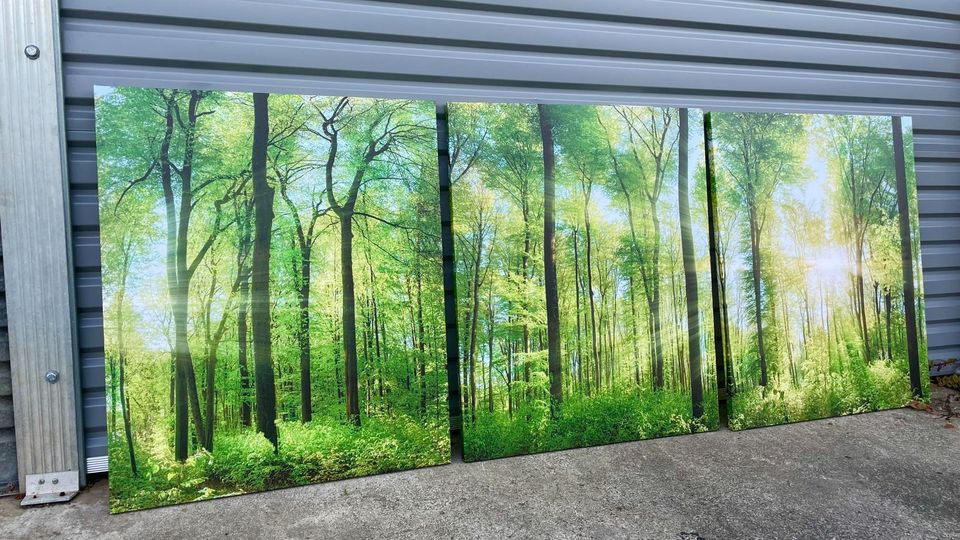 Pine Stretched  Framed 3 Panels - Finished Products - Forest panorama with rays of sunlight
