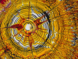 Pine Stretched  Framed 1 Panel - Abstract