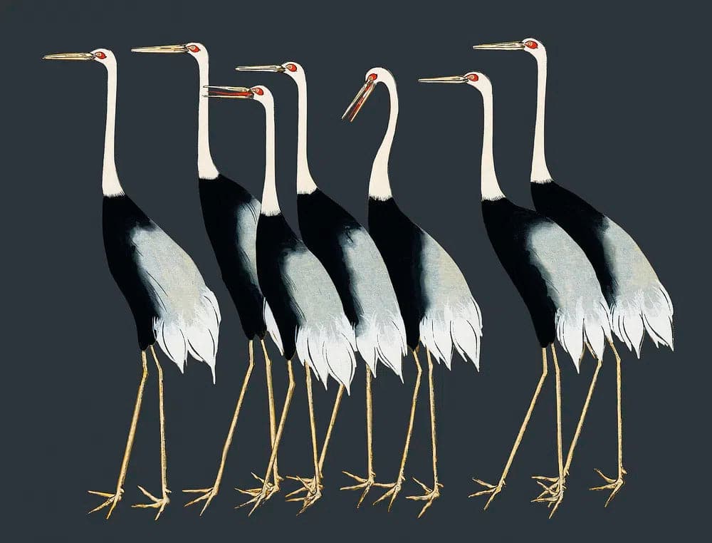 Pine Stretched  Framed 1 Panel - Japanese red crown crane by Ogata Korin