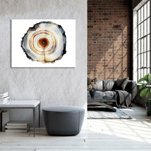 Framed 1 Panel - Oak Tree Ring