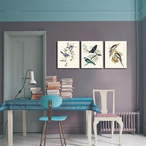 Framed 3 Panels - Azure Blue Tit Birds, Golden Hooded and Masked Tanagers, Cockatiel Birds
