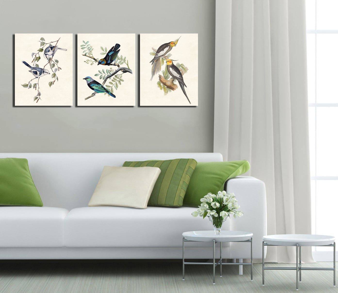 Framed 3 Panels - Azure Blue Tit Birds, Golden Hooded and Masked Tanagers, Cockatiel Birds