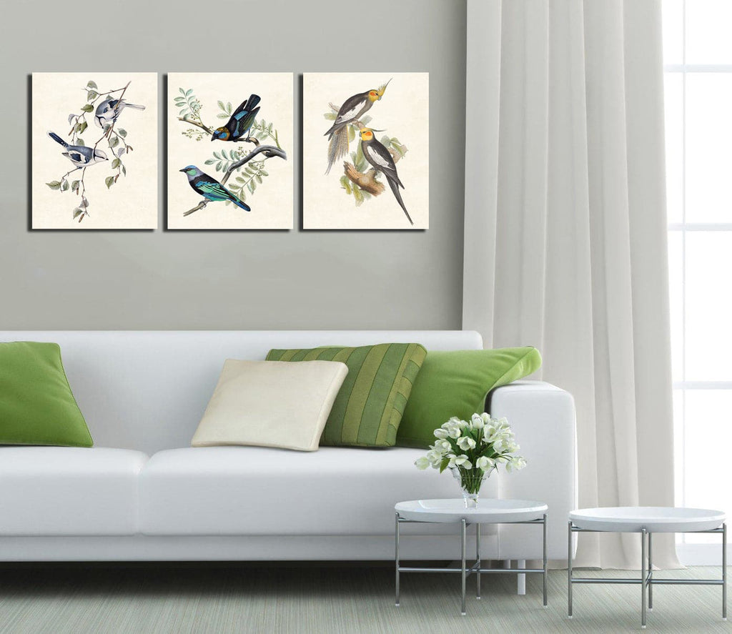 3 Panels - Azure Blue Tit Birds, Golden Hooded and Masked Tanagers, Cockatiel Birds