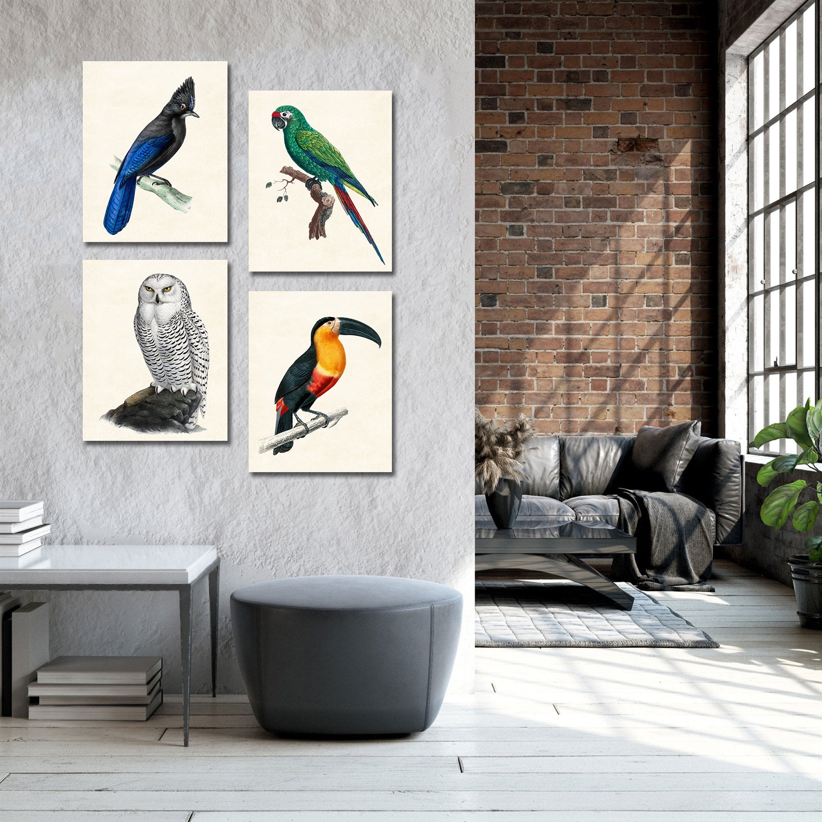 Framed 4 Panels - Steller's Jay, Military Macaw, Snowy Owl, Toucan