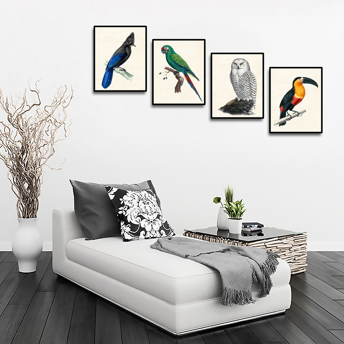 Framed 4 Panels - Steller's Jay, Military Macaw, Snowy Owl, Toucan