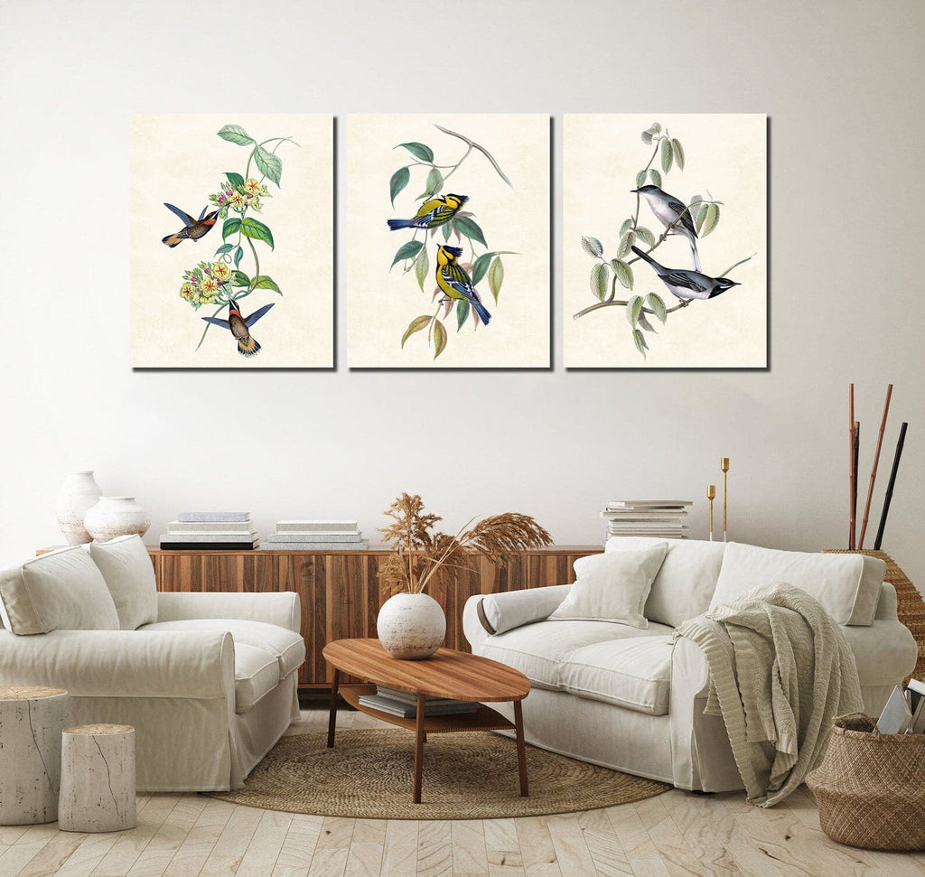 Framed 3 Panels - Hummingbirds, Spotted Tit,  Ruppell's Warbler Birds