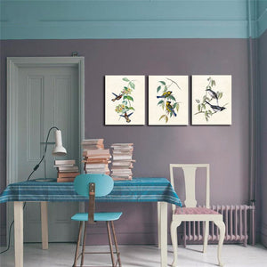 Framed 3 Panels - Hummingbirds, Spotted Tit,  Ruppell's Warbler Birds