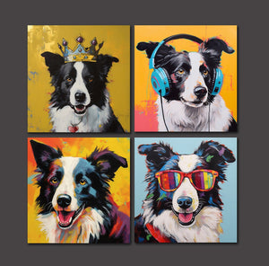 Pine Stretched  Framed 4 Panels - Border Collie