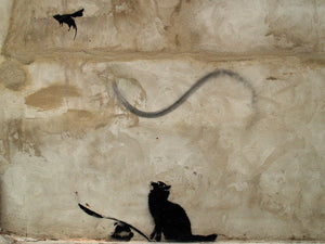 Framed 1 Panel - Banksy -Cat and Mouse