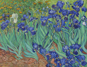 Pine Stretched  Framed 1 Panel - Irises (1889) by Vincent Van Gogh