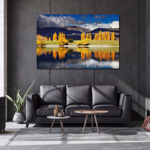 Pine Stretched  Framed 1 Panel - Lake Benmore, New Zealand