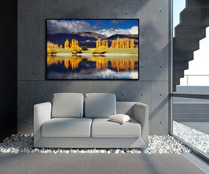 Pine Stretched  Framed 1 Panel - Lake Benmore, New Zealand