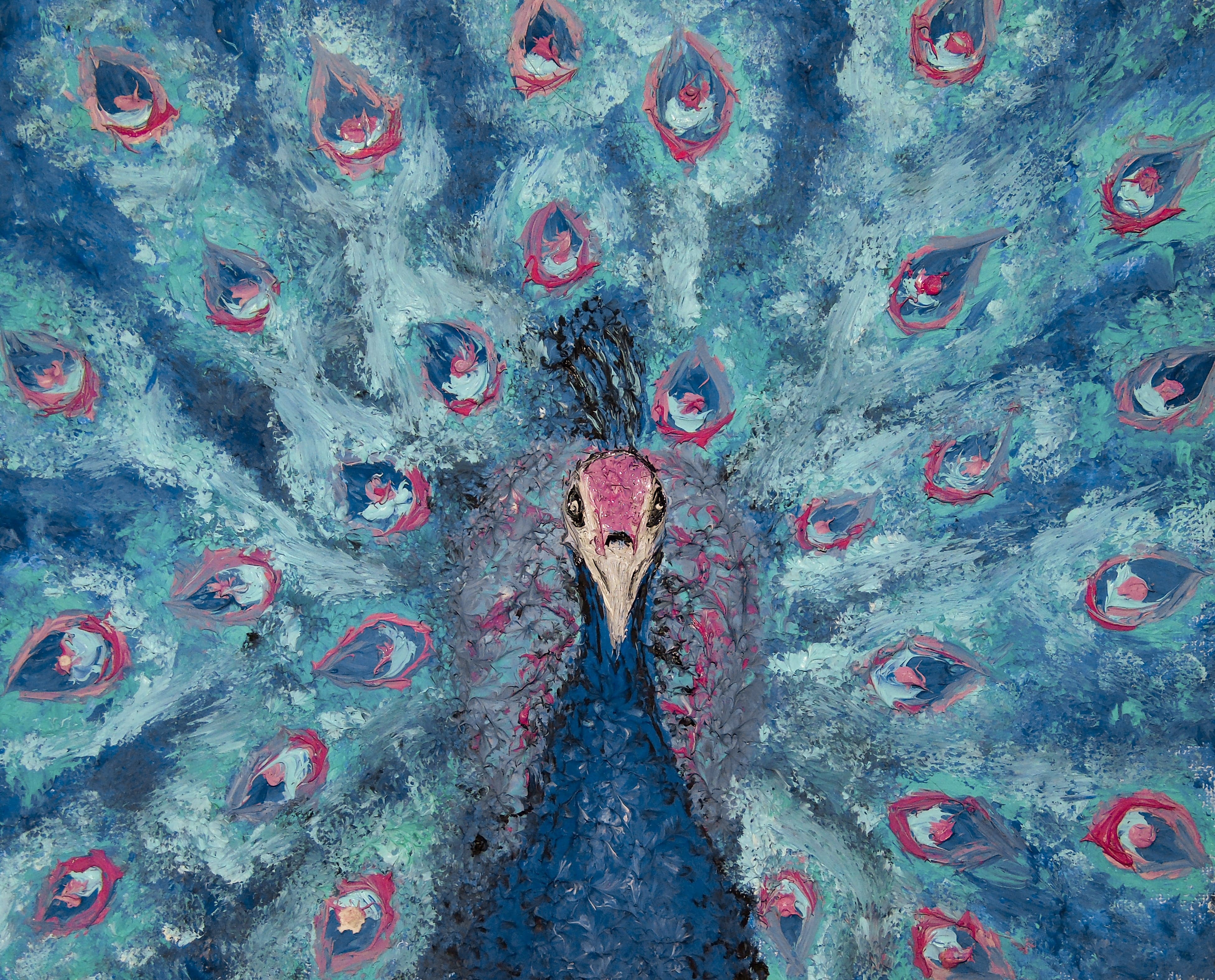 Pine Stretched  Framed 1 Panel - Portrait of a Blue and Pink Peacock
