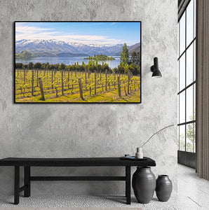 Pine Stretched  Framed 1 Panel - Vineyard on The Lake - New Zealand