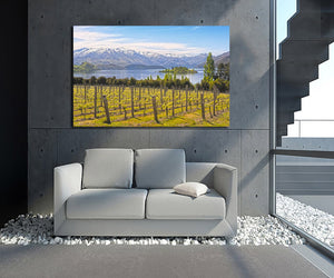 Pine Stretched  Framed 1 Panel - Vineyard on The Lake - New Zealand