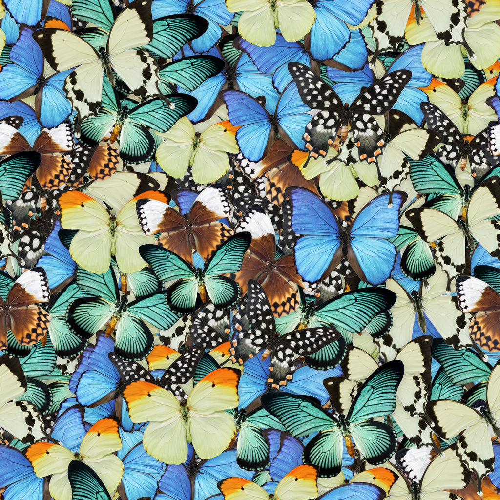 1 Panel - Butterflies Pattern