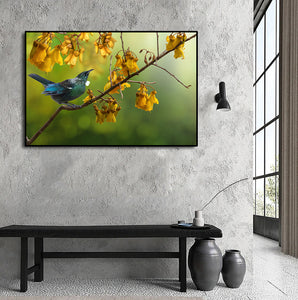 Framed 1 Panel - Tui with Kowhai Tree Flower