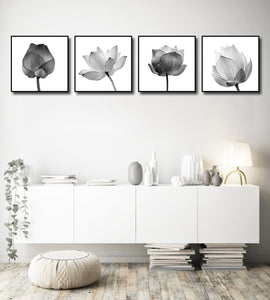 Framed 4 Panels - Isolated Lotus