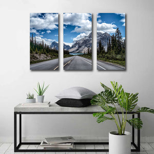 Pine Stretched  Framed 3 Panels - New Zealand South Island