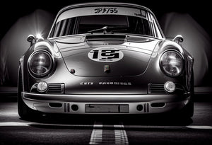 Pine Stretched  Framed 1 Panel - Porsche 911
