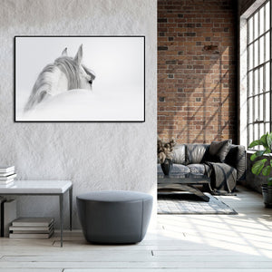 Pine Stretched  Framed 1 Panel - Andalusian horse in a mist
