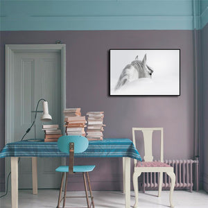 Pine Stretched  Framed 1 Panel - Andalusian horse in a mist