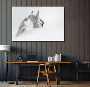 Pine Stretched  Framed 1 Panel - Andalusian horse in a mist