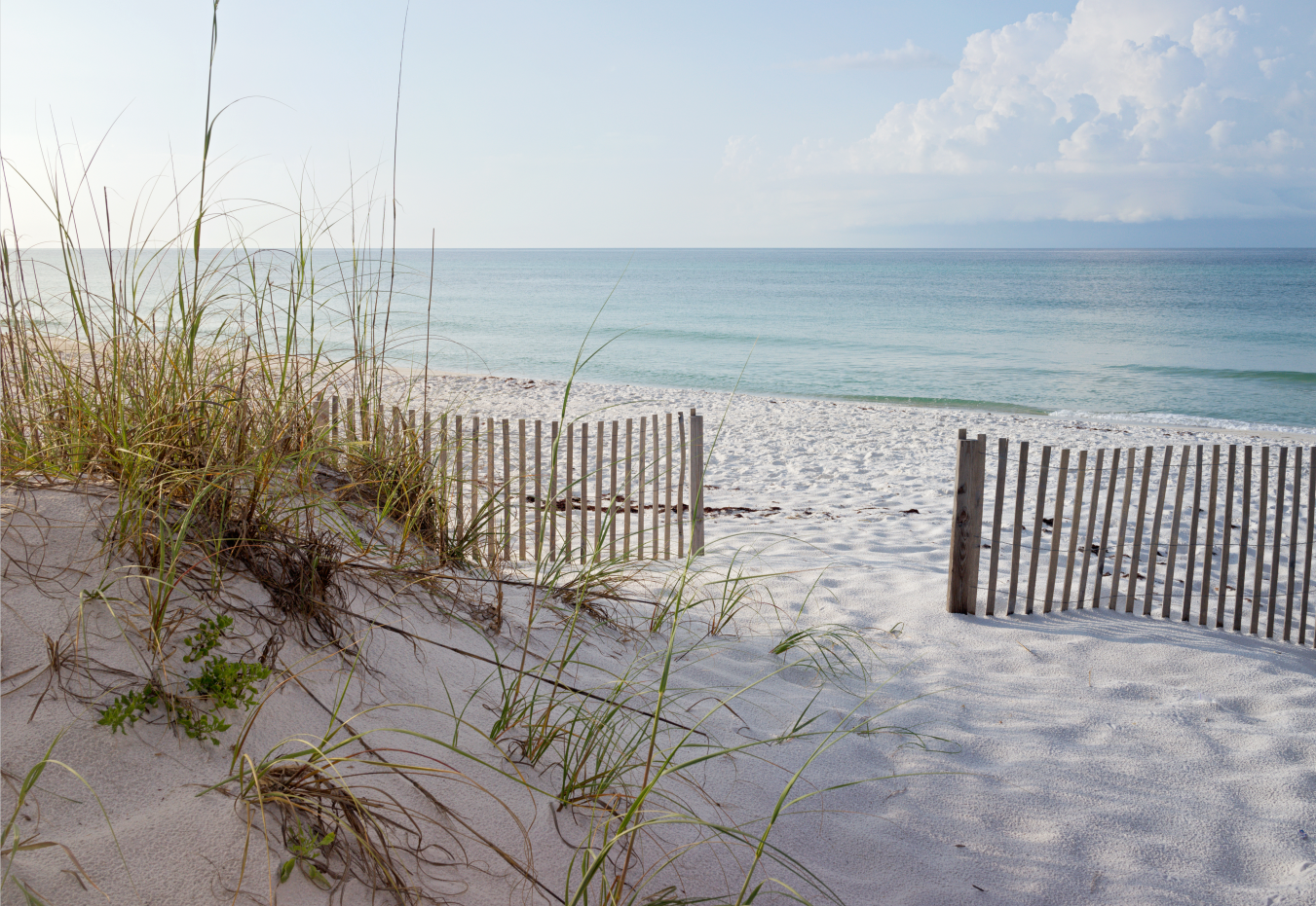 Pine Stretched  Framed 1 Panel - Beautiful Beach at Sunrise