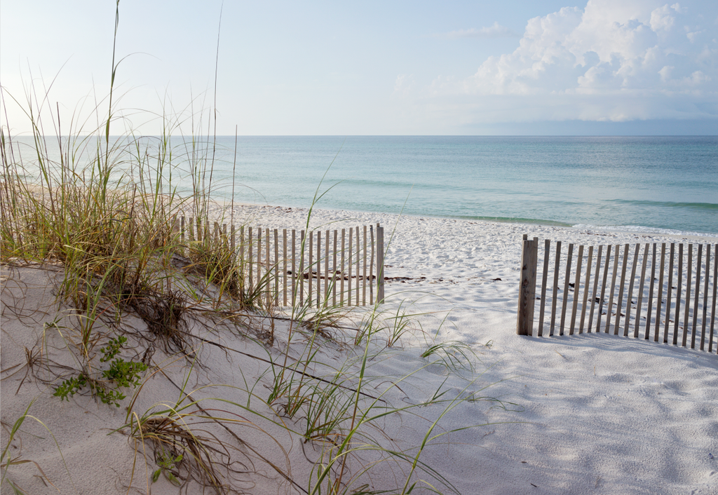 Pine Stretched  Framed 1 Panel - Beautiful Beach at Sunrise