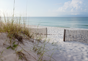 Pine Stretched  Framed 1 Panel - Beautiful Beach at Sunrise