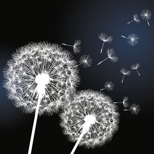 Pine Stretched  Framed 1 Panel - Dandelion Flower